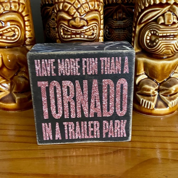 Have More Fun than a Tornado in a Trailer Park - Pink Glitter - Picture 3 of 11